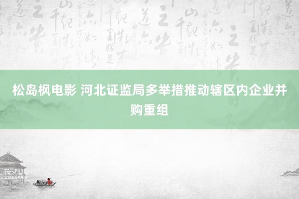 松岛枫电影 河北证监局多举措推动辖区内企业并购重组