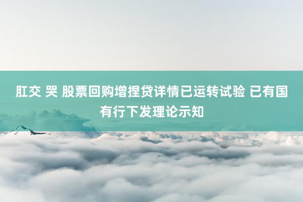 肛交 哭 股票回购增捏贷详情已运转试验 已有国有行下发理论示知