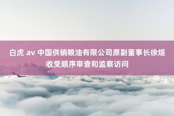 白虎 av 中国供销粮油有限公司原副董事长徐烜收受顺序审查和监察访问