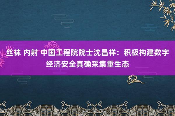 丝袜 内射 中国工程院院士沈昌祥：积极构建数字经济安全真确采集重生态