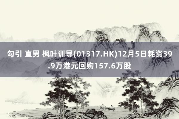 勾引 直男 枫叶训导(01317.HK)12月5日耗资39.9万港元回购157.6万股