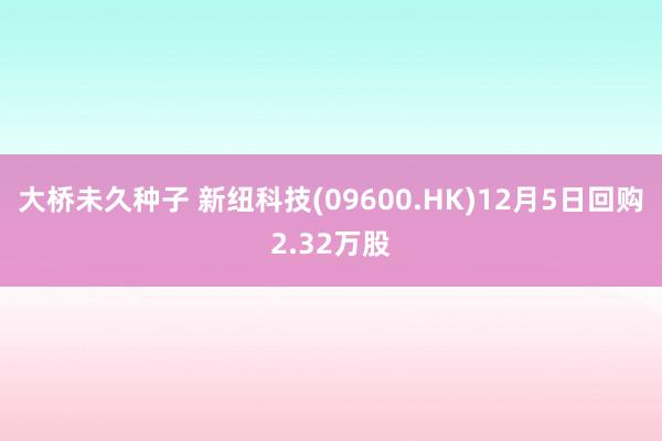 大桥未久种子 新纽科技(09600.HK)12月5日回购2.32万股