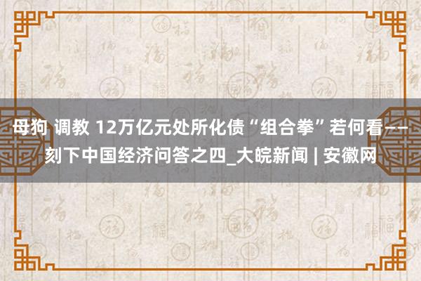 母狗 调教 12万亿元处所化债“组合拳”若何看——刻下中国经济问答之四_大皖新闻 | 安徽网