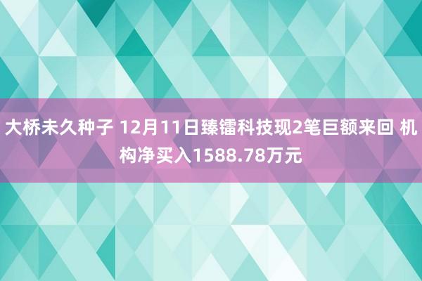 大桥未久种子 12月11日臻镭科技现2笔巨额来回 机构净买入1588.78万元