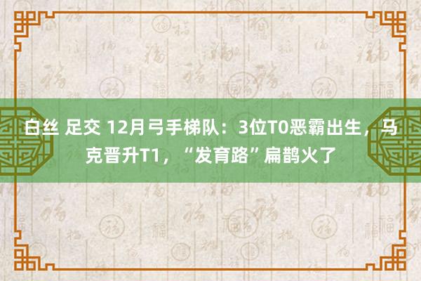 白丝 足交 12月弓手梯队：3位T0恶霸出生，马克晋升T1，“发育路”扁鹊火了