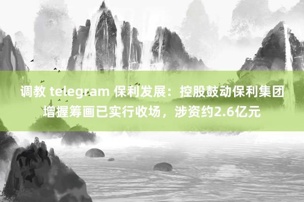 调教 telegram 保利发展：控股鼓动保利集团增握筹画已实行收场，涉资约2.6亿元