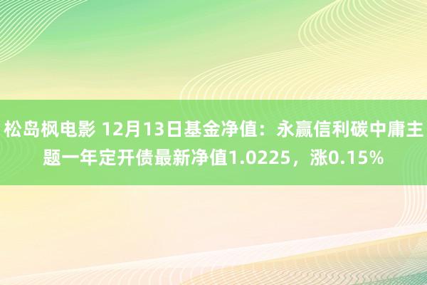 松岛枫电影 12月13日基金净值：永赢信利碳中庸主题一年定开债最新净值1.0225，涨0.15%