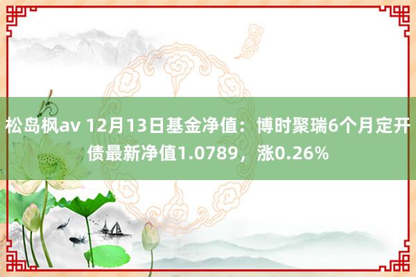 松岛枫av 12月13日基金净值：博时聚瑞6个月定开债最新净值1.0789，涨0.26%