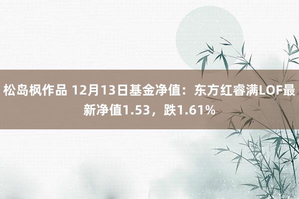 松岛枫作品 12月13日基金净值：东方红睿满LOF最新净值1.53，跌1.61%