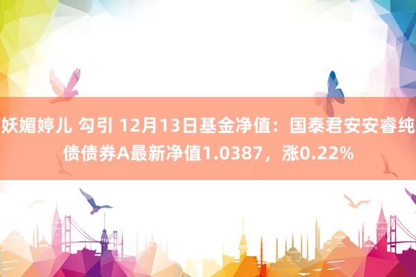 妖媚婷儿 勾引 12月13日基金净值：国泰君安安睿纯债债券A最新净值1.0387，涨0.22%