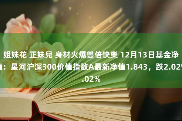 姐妹花 正妹兒 身材火爆雙倍快樂 12月13日基金净值：星河沪深300价值指数A最新净值1.843，跌2.02%