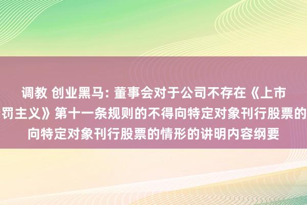 调教 创业黑马: 董事会对于公司不存在《上市公司证券刊行注册责罚主义》第十一条规则的不得向特定对象刊行股票的情形的讲明内容纲要