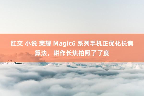 肛交 小说 荣耀 Magic6 系列手机正优化长焦算法，耕作长焦拍照了了度