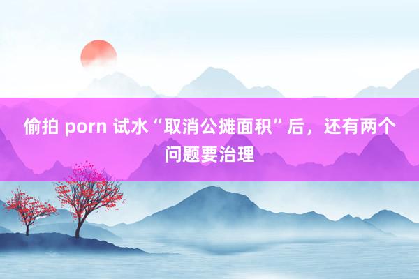 偷拍 porn 试水“取消公摊面积”后，还有两个问题要治理