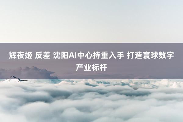 辉夜姬 反差 沈阳AI中心持重入手 打造寰球数字产业标杆