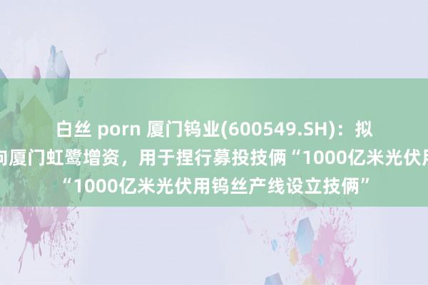 白丝 porn 厦门钨业(600549.SH)：拟使用召募资金4亿元向厦门虹鹭增资，用于捏行募投技俩“1000亿米光伏用钨丝产线设立技俩”