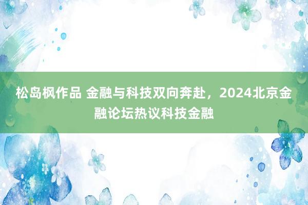 松岛枫作品 金融与科技双向奔赴，2024北京金融论坛热议科技金融