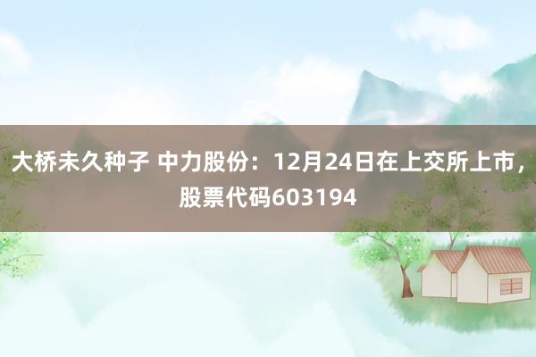 大桥未久种子 中力股份：12月24日在上交所上市，股票代码603194