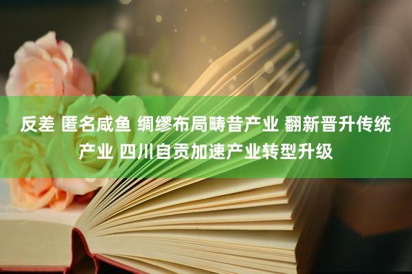 反差 匿名咸鱼 绸缪布局畴昔产业 翻新晋升传统产业 四川自贡加速产业转型升级