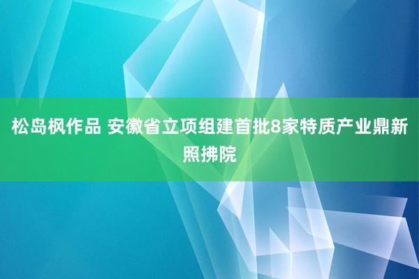 松岛枫作品 安徽省立项组建首批8家特质产业鼎新照拂院