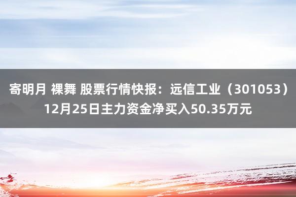 寄明月 裸舞 股票行情快报：远信工业（301053）12月25日主力资金净买入50.35万元