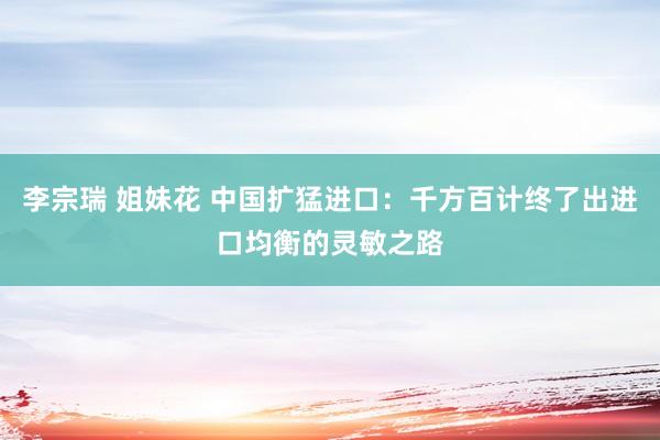 李宗瑞 姐妹花 中国扩猛进口：千方百计终了出进口均衡的灵敏之路