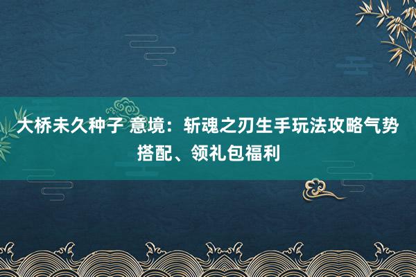 大桥未久种子 意境：斩魂之刃生手玩法攻略气势搭配、领礼包福利