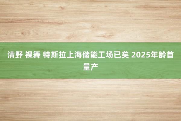 清野 裸舞 特斯拉上海储能工场已矣 2025年龄首量产