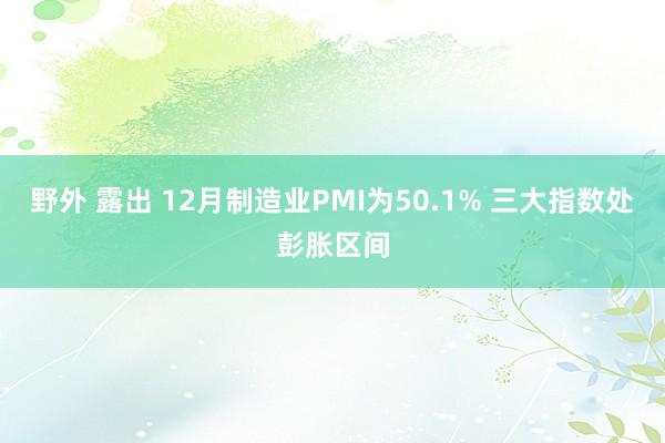 野外 露出 12月制造业PMI为50.1% 三大指数处彭胀区间