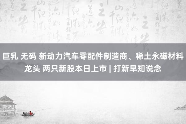 巨乳 无码 新动力汽车零配件制造商、稀土永磁材料龙头 两只新股本日上市 | 打新早知说念