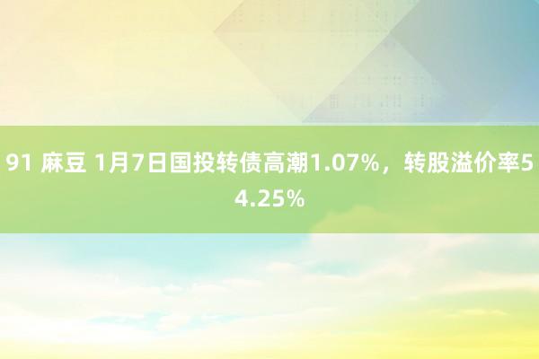 91 麻豆 1月7日国投转债高潮1.07%，转股溢价率54.25%