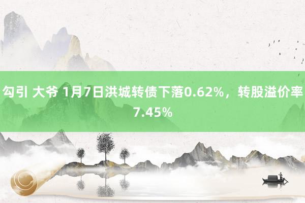 勾引 大爷 1月7日洪城转债下落0.62%，转股溢价率7.45%