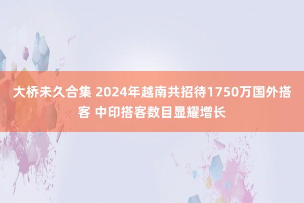 大桥未久合集 2024年越南共招待1750万国外搭客 中印搭客数目显耀增长