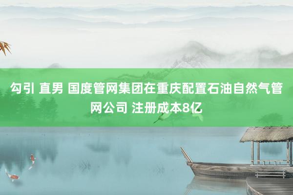 勾引 直男 国度管网集团在重庆配置石油自然气管网公司 注册成本8亿