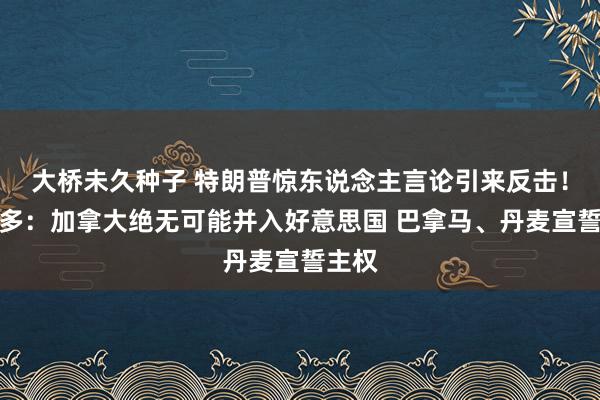 大桥未久种子 特朗普惊东说念主言论引来反击！特鲁多：加拿大绝无可能并入好意思国 巴拿马、丹麦宣誓主权