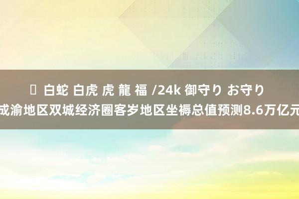 ✨白蛇 白虎 虎 龍 福 /24k 御守り お守り 成渝地区双城经济圈客岁地区坐褥总值预测8.6万亿元