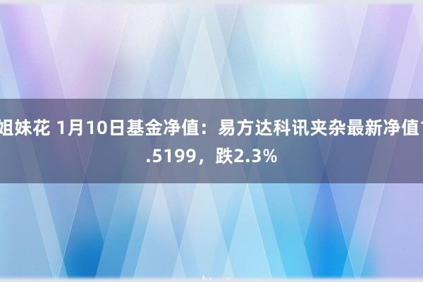 姐妹花 1月10日基金净值：易方达科讯夹杂最新净值1.5199，跌2.3%