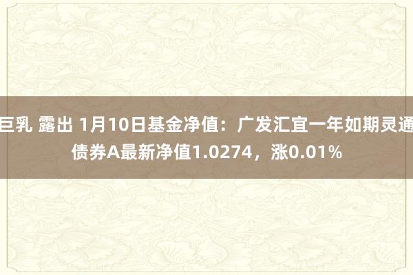 巨乳 露出 1月10日基金净值：广发汇宜一年如期灵通债券A最新净值1.0274，涨0.01%