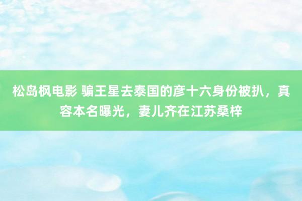 松岛枫电影 骗王星去泰国的彦十六身份被扒，真容本名曝光，妻儿齐在江苏桑梓