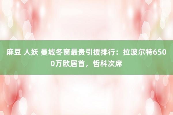 麻豆 人妖 曼城冬窗最贵引援排行：拉波尔特6500万欧居首，哲科次席