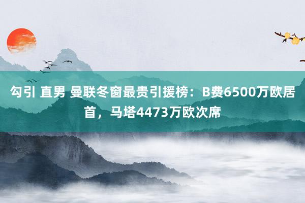 勾引 直男 曼联冬窗最贵引援榜：B费6500万欧居首，马塔4473万欧次席