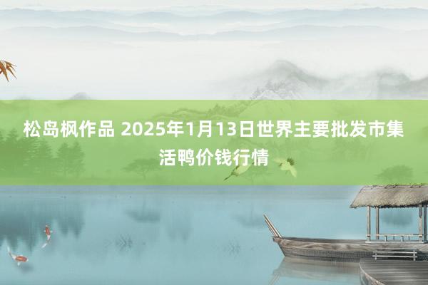 松岛枫作品 2025年1月13日世界主要批发市集活鸭价钱行情