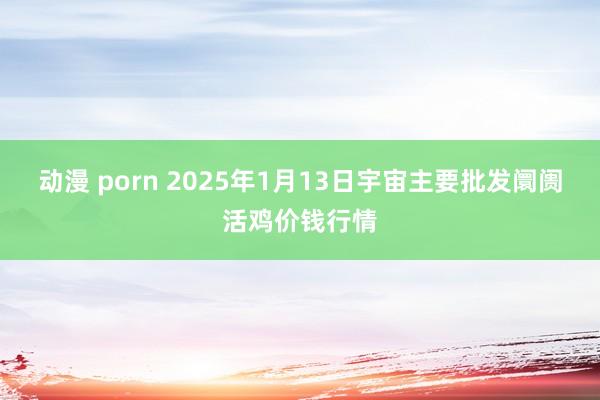 动漫 porn 2025年1月13日宇宙主要批发阛阓活鸡价钱行情