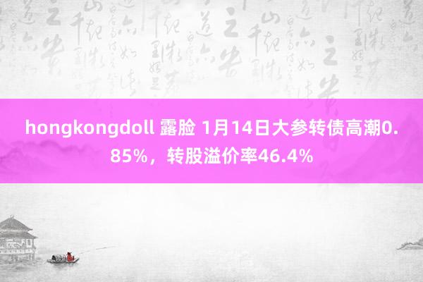 hongkongdoll 露脸 1月14日大参转债高潮0.85%，转股溢价率46.4%