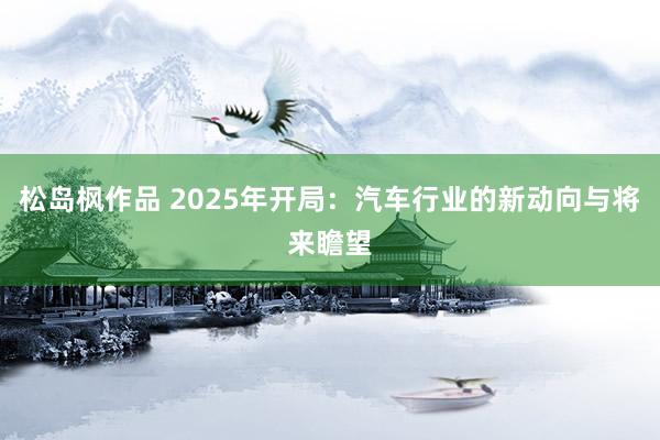 松岛枫作品 2025年开局：汽车行业的新动向与将来瞻望