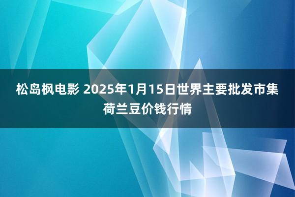 松岛枫电影 2025年1月15日世界主要批发市集荷兰豆价钱行情